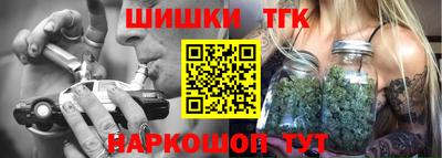 шишки Новодвинск