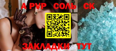 шишки Новодвинск