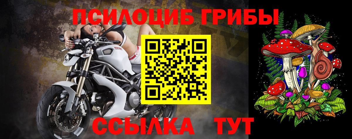 Псилоцибиновые грибы мицелий  Вход с VPN  Семёнов  Псилоцибиновые грибы прущие грибы 